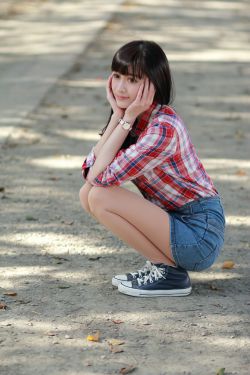 精灵の森林1到四集免费