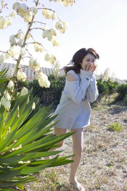 露华浓短剧免费观看